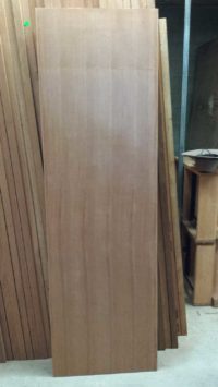 Hollow core Door