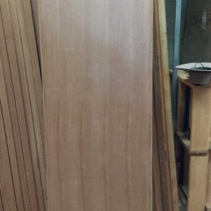 Hollow core Door