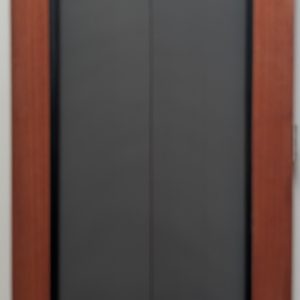 Stealshield door