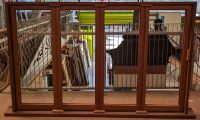 1500x2322 4 single light sash casement window