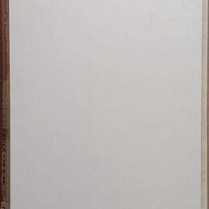 flush door white