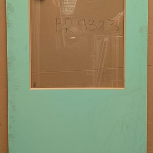 Redicote Flush door with window
