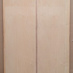 Solidcore flush door (pair)
